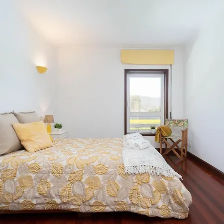 Spacious Modern Beach House - Esposende Hébergement de vacances